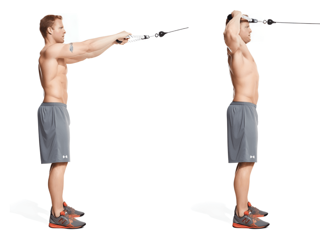 RESISTANCE BAND EXERCISES – Digital Welcome Kit